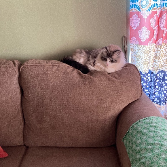 Thank you for visiting my Poshmark Level II Five (5) Star 🌟 Same Day Ship Closet - Picture 7 of 11